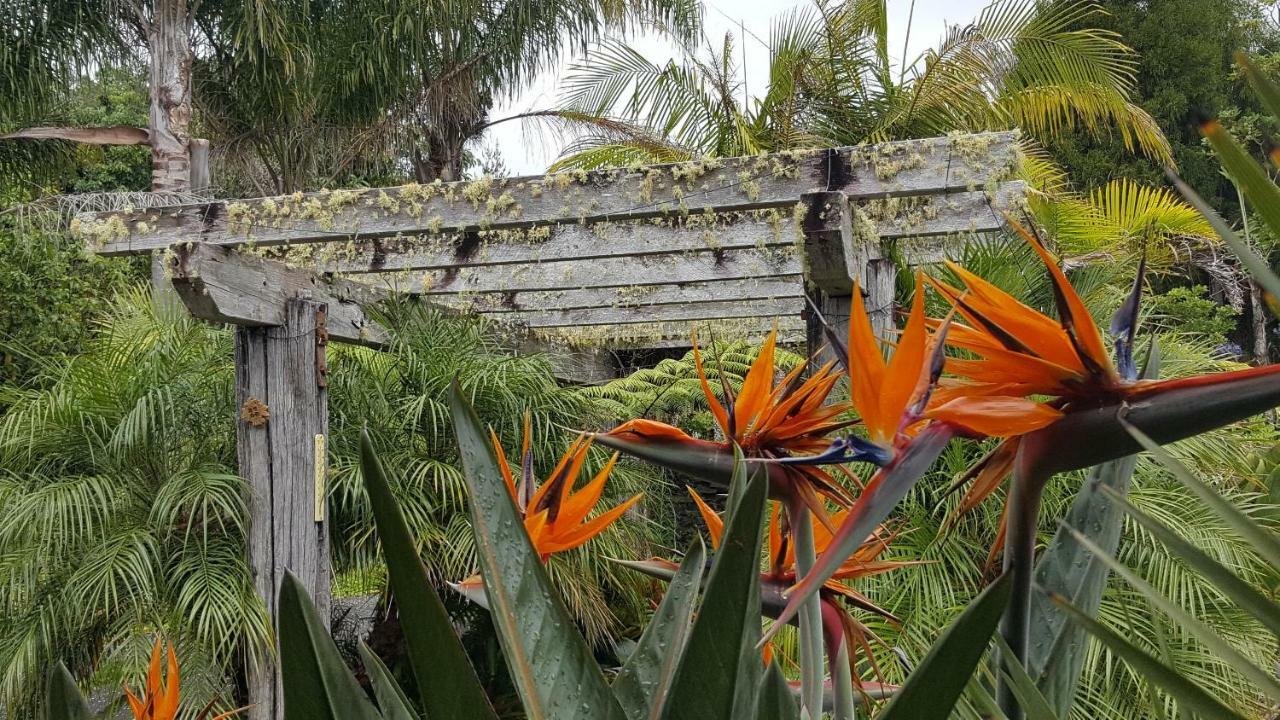 Colleith Lodge Tairua Buitenkant foto